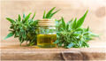Hemp Oil for Anxiety: What You Need To Know - Styeloflady